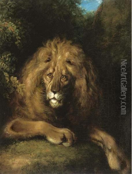 A Noble Lion Oil Painting - Charles Henry Schwanfelder