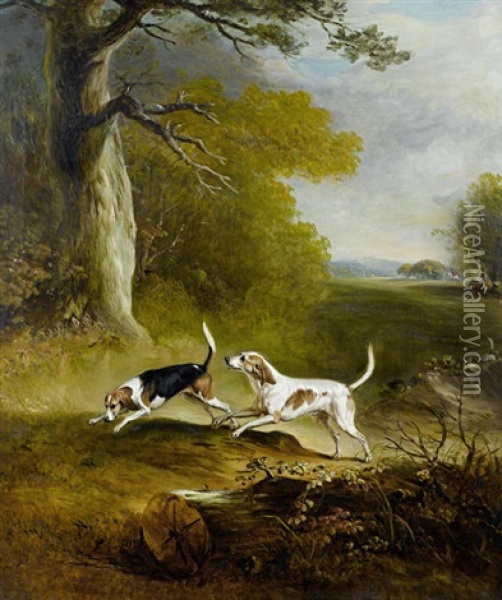 Hounds On The Scent Oil Painting - John E. Ferneley