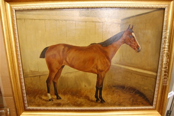 Horse Standing In A Loose Box (study) Oil Painting - George Paice