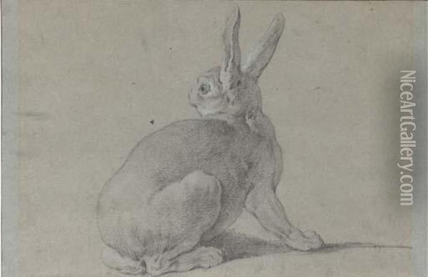 A Hare Looking Back To The Left Oil Painting - Jean-Baptiste Oudry