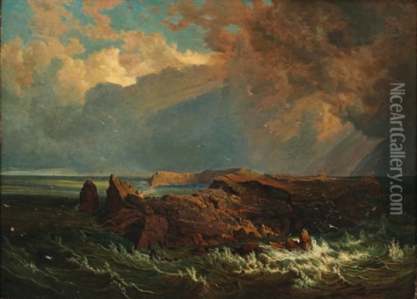 Island Of St. Paul In The Indian Ocean Oil Painting - Josef Selleny