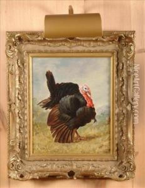 A Turkey Oil Painting - John Byam Liston Shaw
