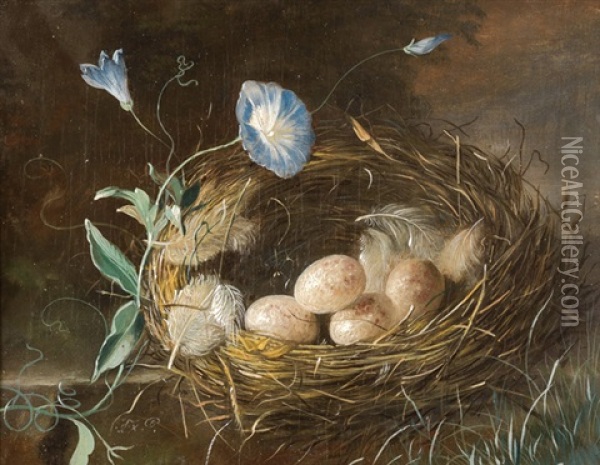Stilleben Mit Vogelnest Oil Painting - Franz Xaver Petter