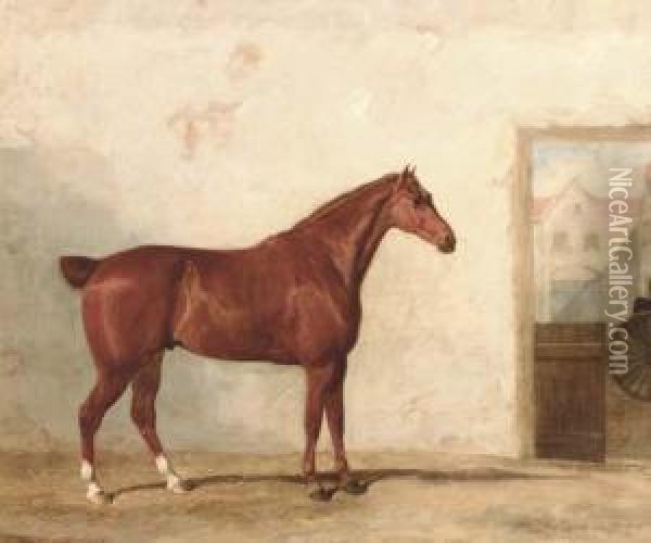 A Thoroughbred In A Stable Oil Painting - Martin T. Ward