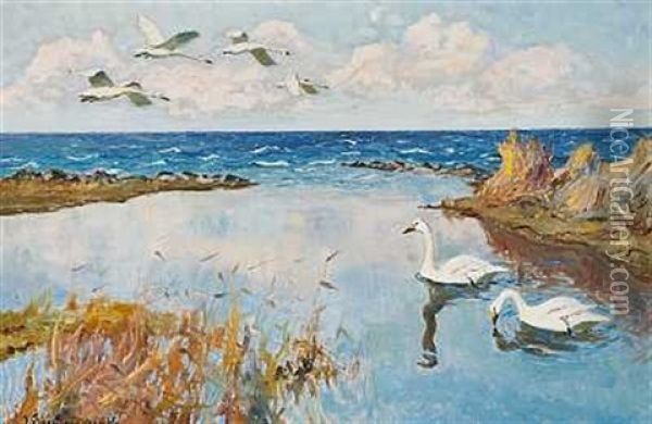 Svaner Ved Kysten Oil Painting - William Gislander