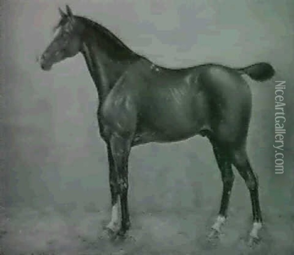Pferd Im Stall Oil Painting - Julius von Blaas