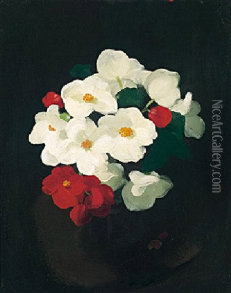 Red And White Christmas Roses Oil Painting - Stuart James Park