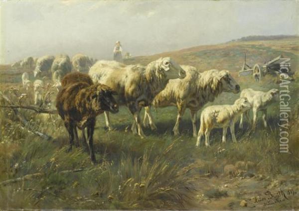 Sheep In A Meadow. Oil Painting - Anton Braith