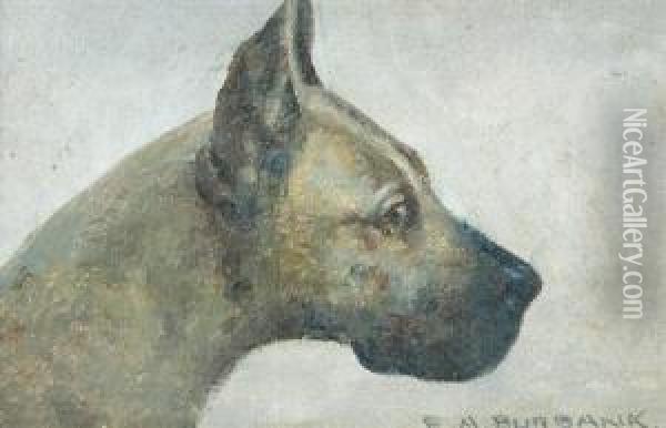Profile Of A Great Dane Oil Painting - Elbridge Ayer Burbank