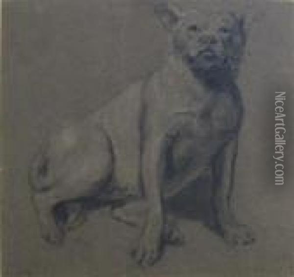 Study From Nature, Bull Dog Oil Painting - James Ward