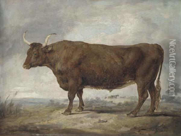 Portrait Of An Ox In A Landscape With A Figure And Two Oxen In Thedistance Oil Painting - James Ward