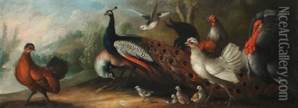Peacock, Chickens And Turkey In A Landscape Oil Painting - Marmaduke Cradock