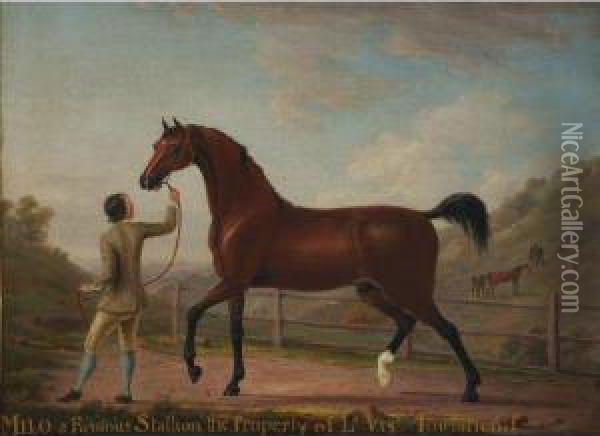 Milo, A Famous Stallion The Property Of Viscount Townsend Oil Painting - Richard Roper