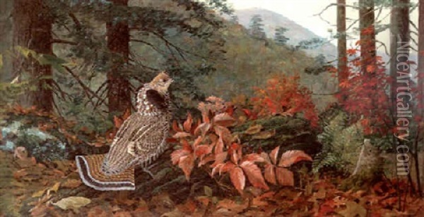 Autumn In The Adirondacks Oil Painting - Louis Agassiz Fuertes