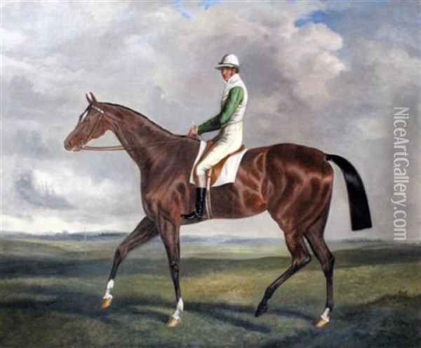 Bay Racehorse With Jockey Up Oil Painting - John E. Ferneley
