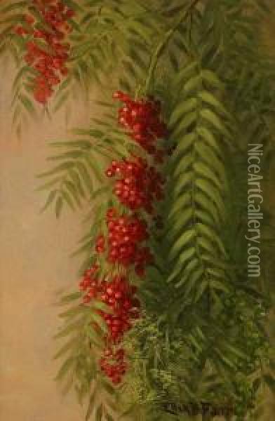 Pepper Tree Berries & Foliage S L/r: Ellen B. Farr O/cb 12x8
 Provenance: Residence Oil Painting - Ellen Frances Farr