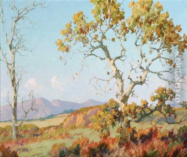 Landscape - The Sycamore Oil Painting - Maurice Braun