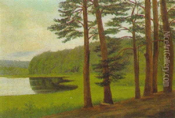 Markische Seenlandschaft Oil Painting - Max Gildemeister