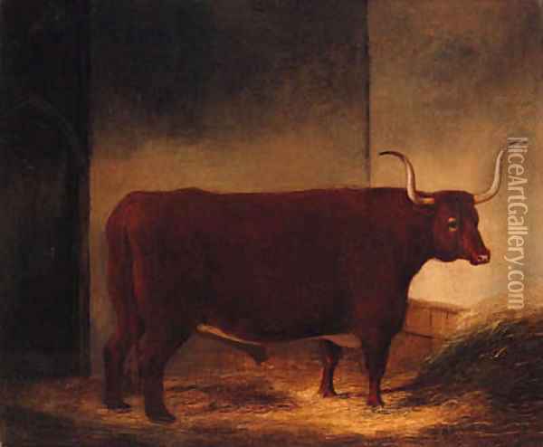 A Long Horn Bull in a Barn Oil Painting - English Provincial School