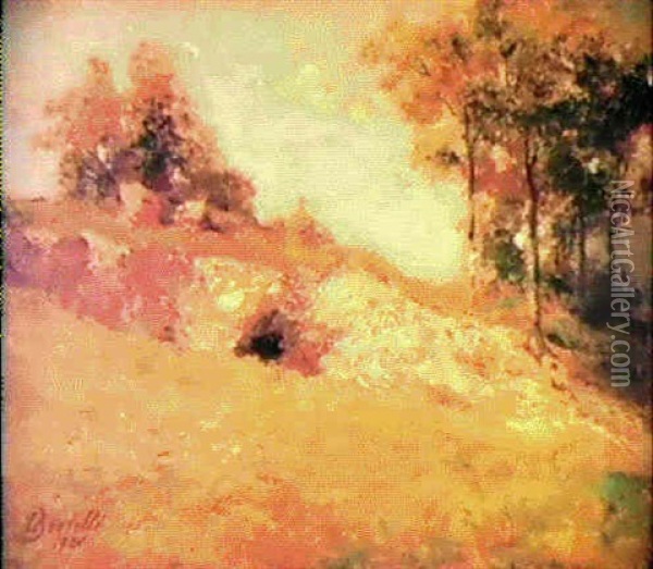 Cava Abbandonata Oil Painting - Luigi Bertelli