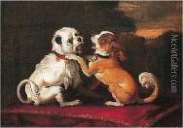 Two Dogs Playing On A Red Cushion Oil Painting - Abraham Hondius