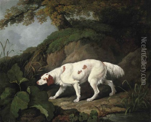A Setter In A Wooded Landscape Oil Painting - James Barenger the Younger