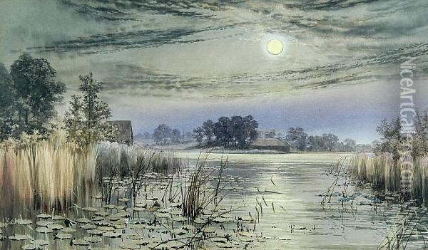 Salhouse Broad By Moonlight Oil Painting - Stephen John Batchelder