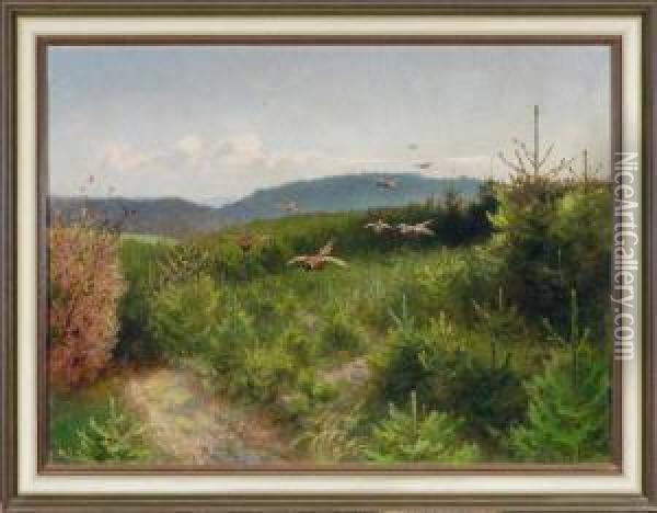 Fliegende Fasane In Hugeliger Nadelwaldlandschaft Oil Painting - Guido Von Maffei