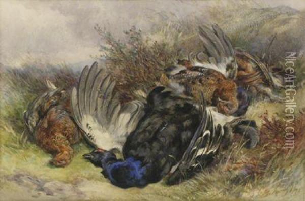 Dead Grouse And Blackcock Oil Painting - James Jnr Hardy
