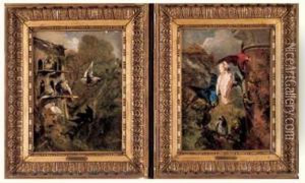 Voliere De Perroquets Et Voliere De Pigeons Oil Painting - Philippe Rousseau