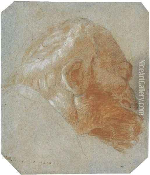 Head of a bearded old man in profile to the right Oil Painting - Lorenzo Tiepolo