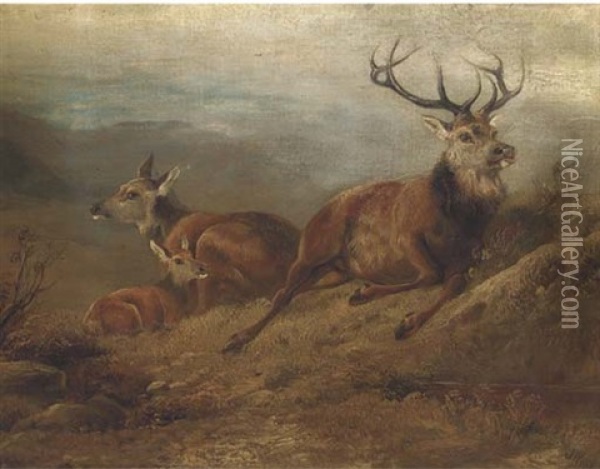 A Stag, Hind And Doe In A Landscape Oil Painting - John Cother Webb