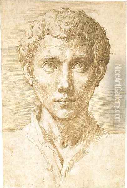 Head of a young man looking up Oil Painting - Girolamo Francesco Maria Mazzola (Parmigianino)