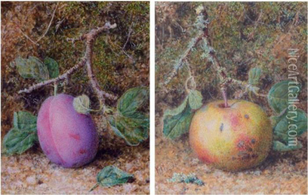 Still Life Of A Plum; Still Life Of An Apple Oil Painting - William B. Hough