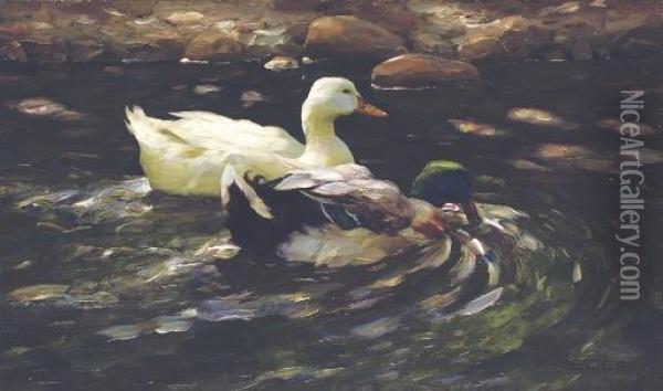 Ducks On A Pond Oil Painting - Alexander Max Koester