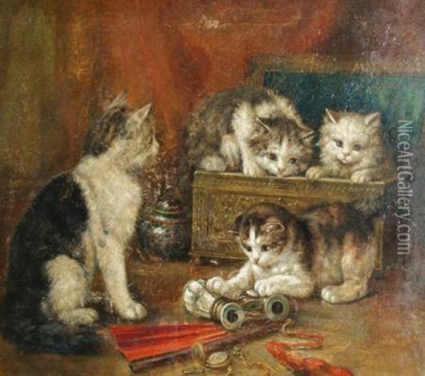 Kittens Atplay Oil Painting - August Laux