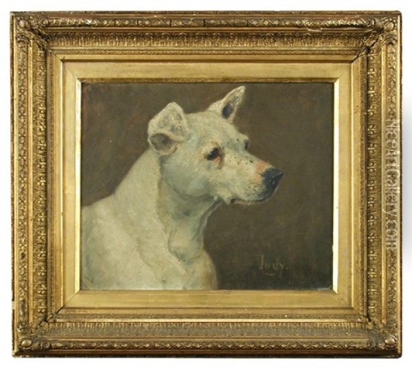 A Study Of 'judy' , A Bull Terrier Oil Painting - George Paice