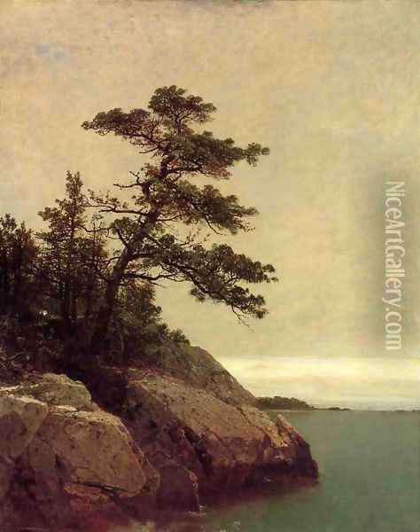 The Old Pine, Darien, Connecticut Oil Painting - John Frederick Kensett