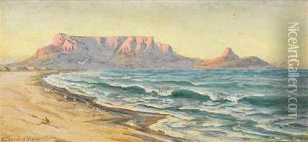 Evening Glow, Table Mountain Oil Painting - Edward Clark Churchill Mace