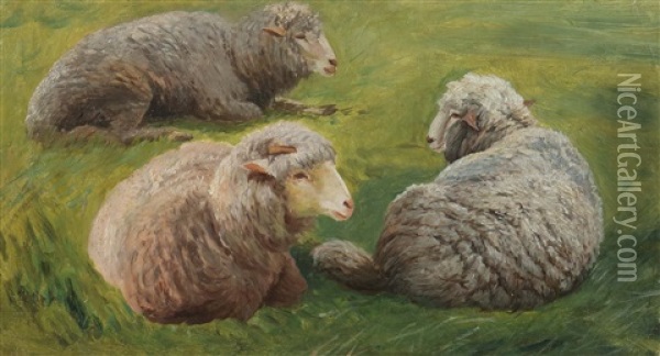 Ruhende Schafe Oil Painting - Julius Kornbeck