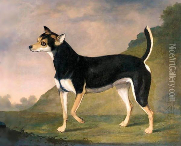A Terrier In A Landscape Oil Painting - Francis Sartorius