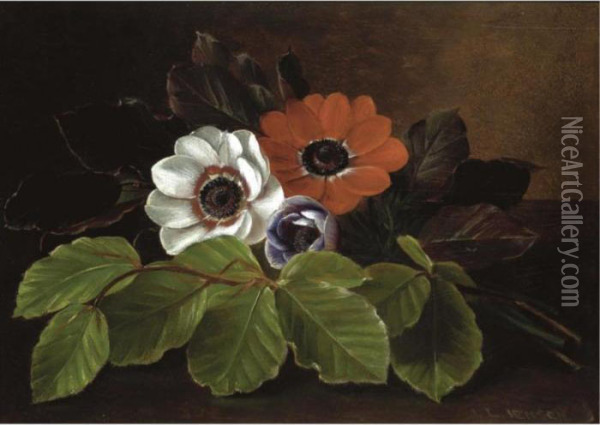 Still Life Of Anemones Oil Painting - Johan Laurentz Jensen