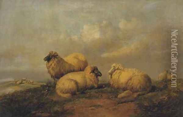 Sheep resting on the moors Oil Painting - Thomas Sidney Cooper