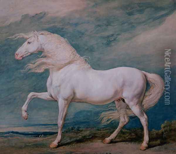 Adonis, a white stallion Oil Painting - James Ward