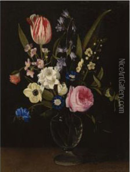 Still Life With A Rose, A Tulip, A Cornflower, Morning Glory, Primuli And Other Flowers In A Glass Vase On A Ledge Oil Painting - Maria Theresia Van Thielen