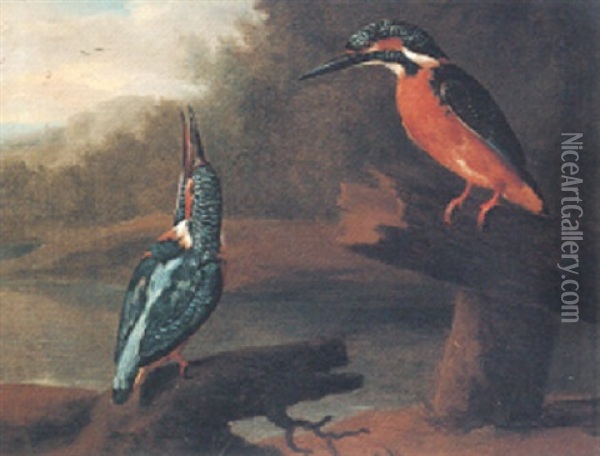 Kingfishers In A Landscape Oil Painting - Charles Collins