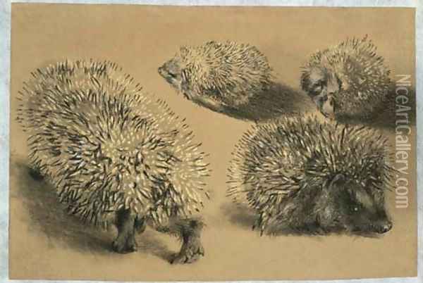 Four studies of a hedgehog Oil Painting - Adolph von Menzel