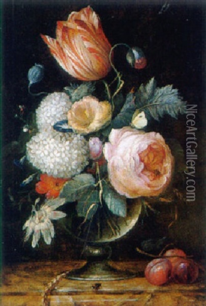 A Tulip, An Ear Of Corn And Other Flowers In A Glass Vase With Plums On A Marble Ledge Oil Painting - Pieter Gallis