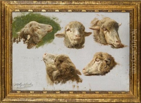Sheep Heads (study) Oil Painting - Juliette Peyrol Bonheur