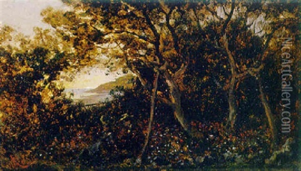 Blick Von  Anhohe Mit Figrenstaffage Auf Abendliche Kustenlandschaft Oil Painting - Edouard Riou